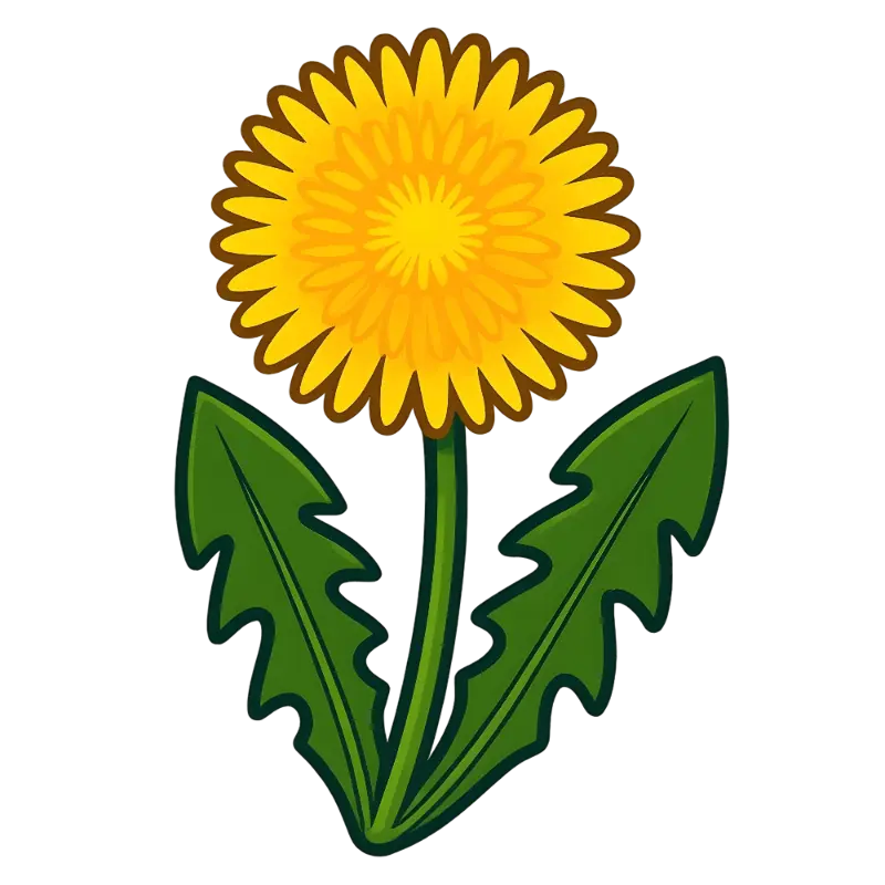 Cheerful Flat Design Dandelion Illustration