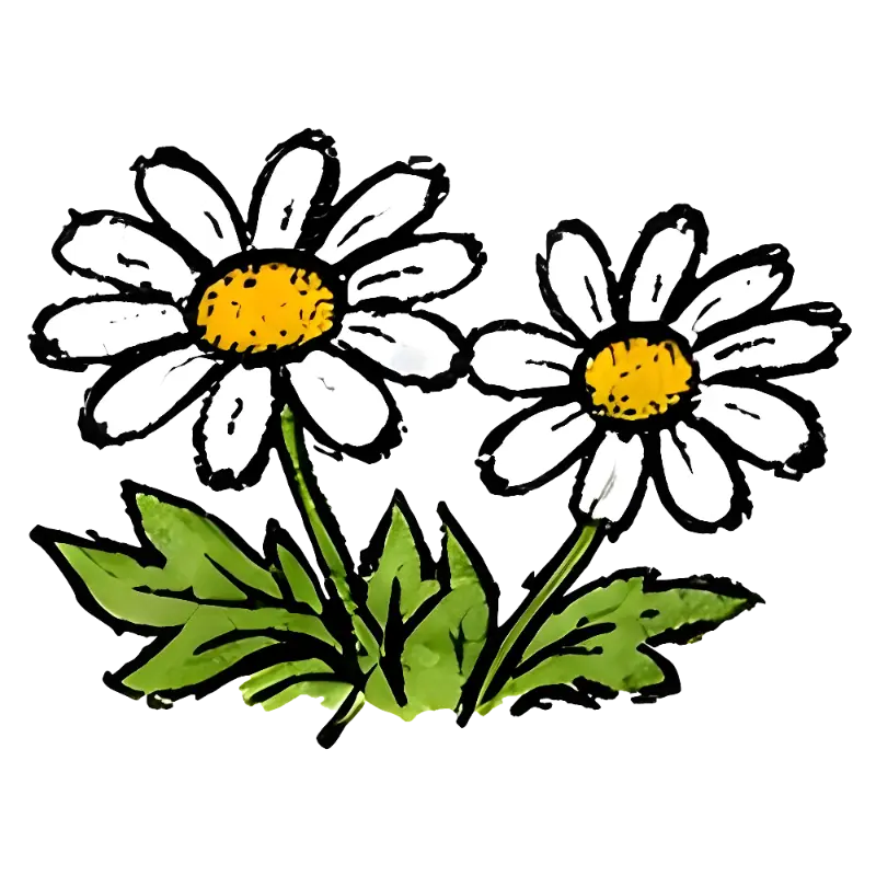Hand-drawn Cartoon Daisy Flowers Clip Art with Cheerful Watercolor Texture