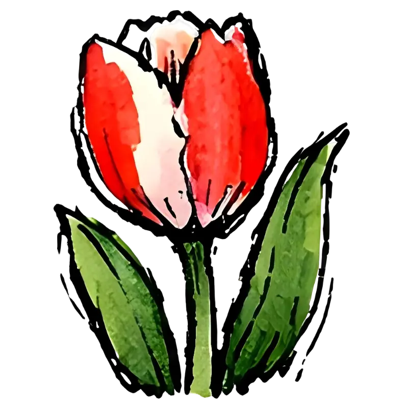 Watercolor Tulip Illustration, Hand-Drawn Floral Art