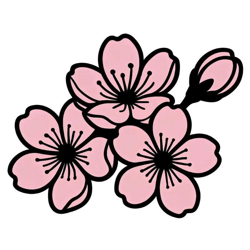 Japanese Style Pink Cherry Blossom Floral Illustration