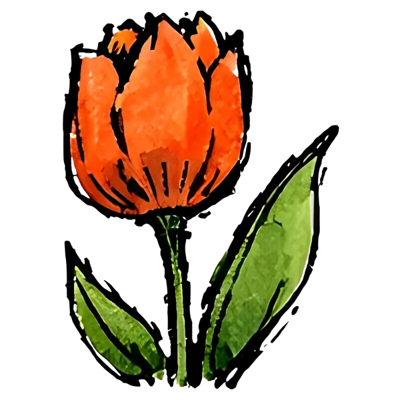 Vibrant Hand-painted Watercolor Orange Tulip Flower Art Print