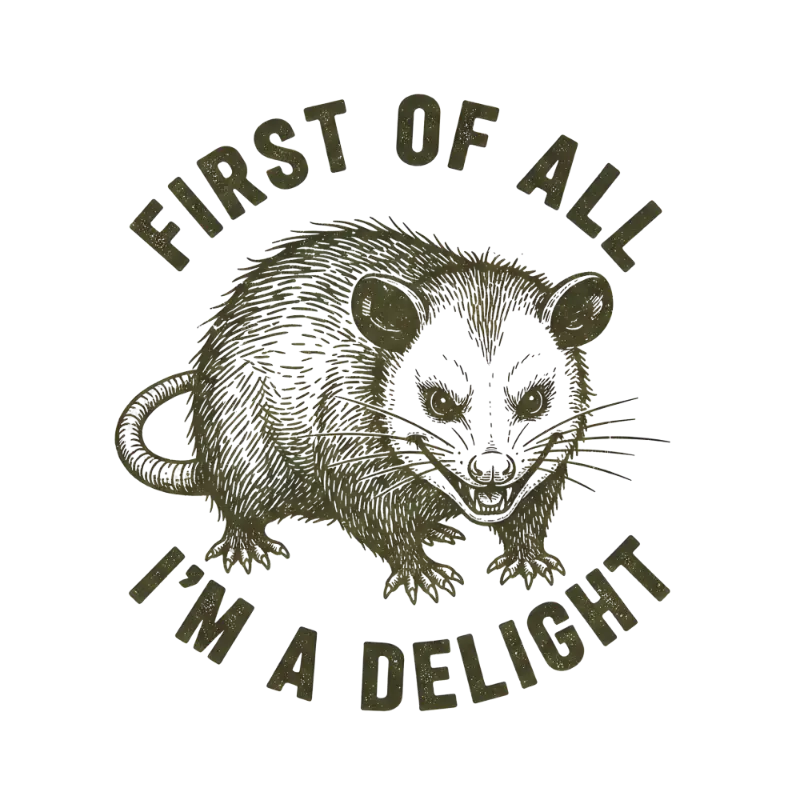 Vintage Distressed Possum Graphic T-Shirt, Sarcastic Animal Humor