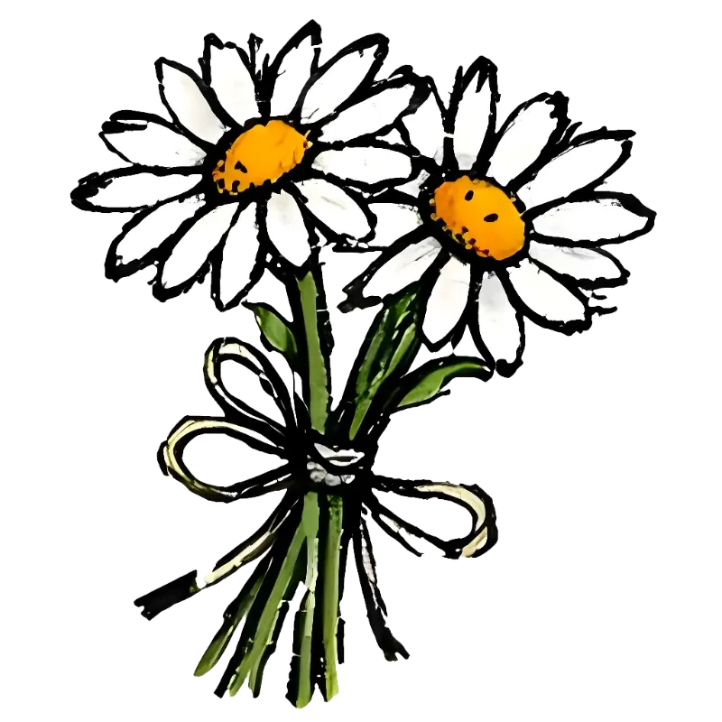 Whimsical Hand-drawn Daisy Bouquet Illustration for Crafters