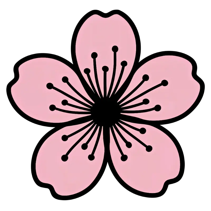 Line Art Pink Cherry Blossom with Stylized Stamens