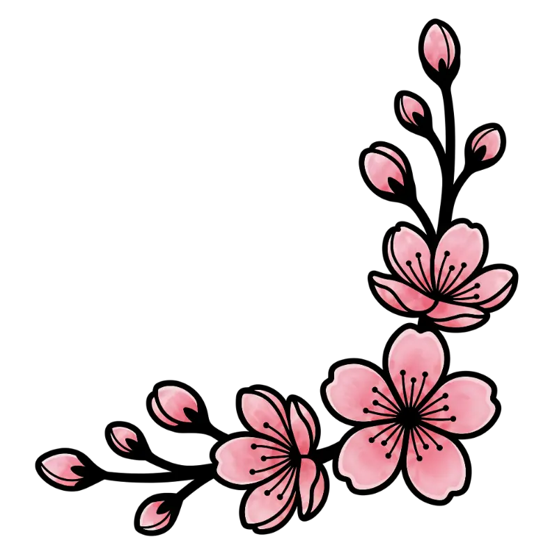 Watercolor Cherry Blossom Flowers and Buds Corner Illustration