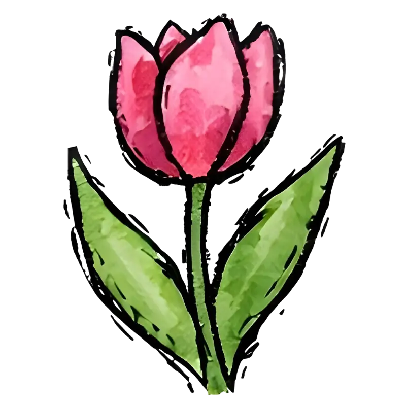 Watercolor Pink Tulip Illustration, Hand-drawn Spring Floral Graphic
