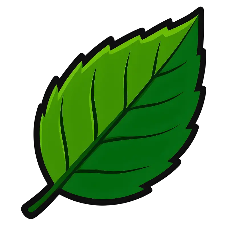 Cartoon Green Leaf Illustration with Serrated Edge