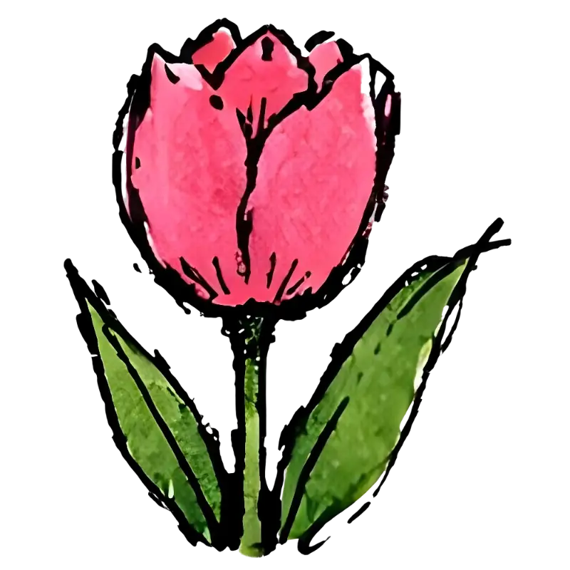 Watercolor Hand-drawn Pink Tulip Illustration for Gentle Floral Art