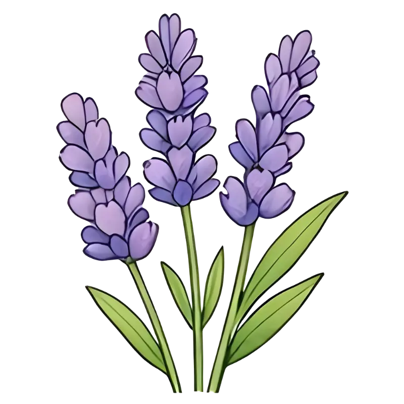 Stylized Lavender Flower Illustration for Calming Decor