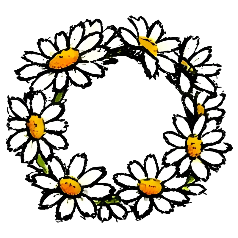 Hand-drawn Daisy Flower Wreath Illustration for Natural Creations