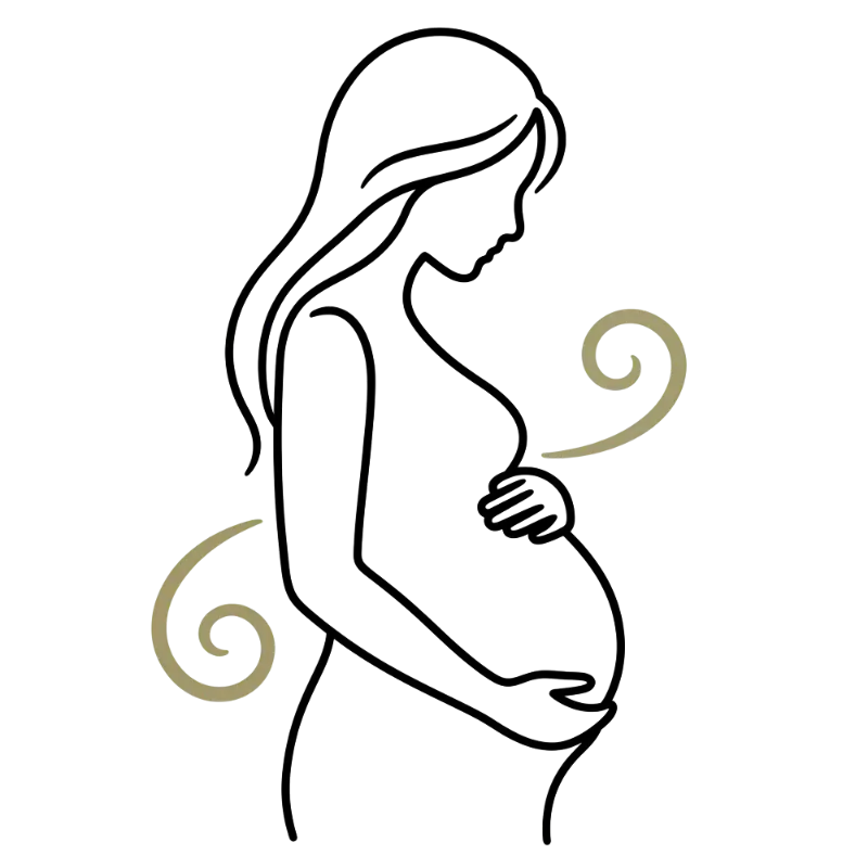 Minimalist Pregnant Woman Golden Spiral Outline Art