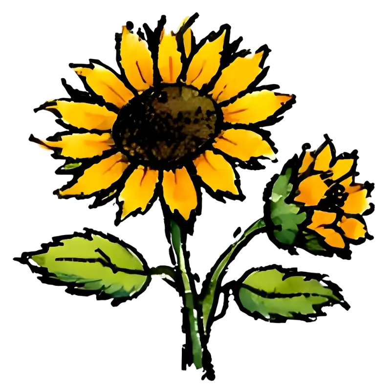 Watercolor Hand-Painted Sunflower Botanical Art Print