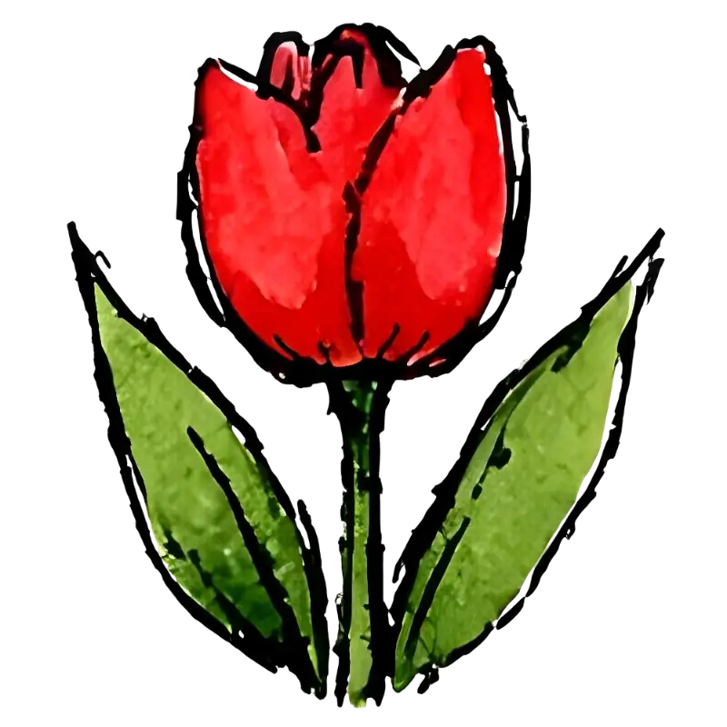 Hand-painted Watercolor Red Tulip Flower Art Print