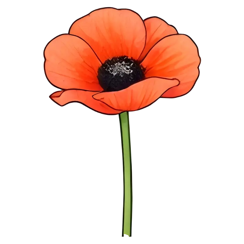 Stylized Poppy Flower Illustration with Bold Outlines