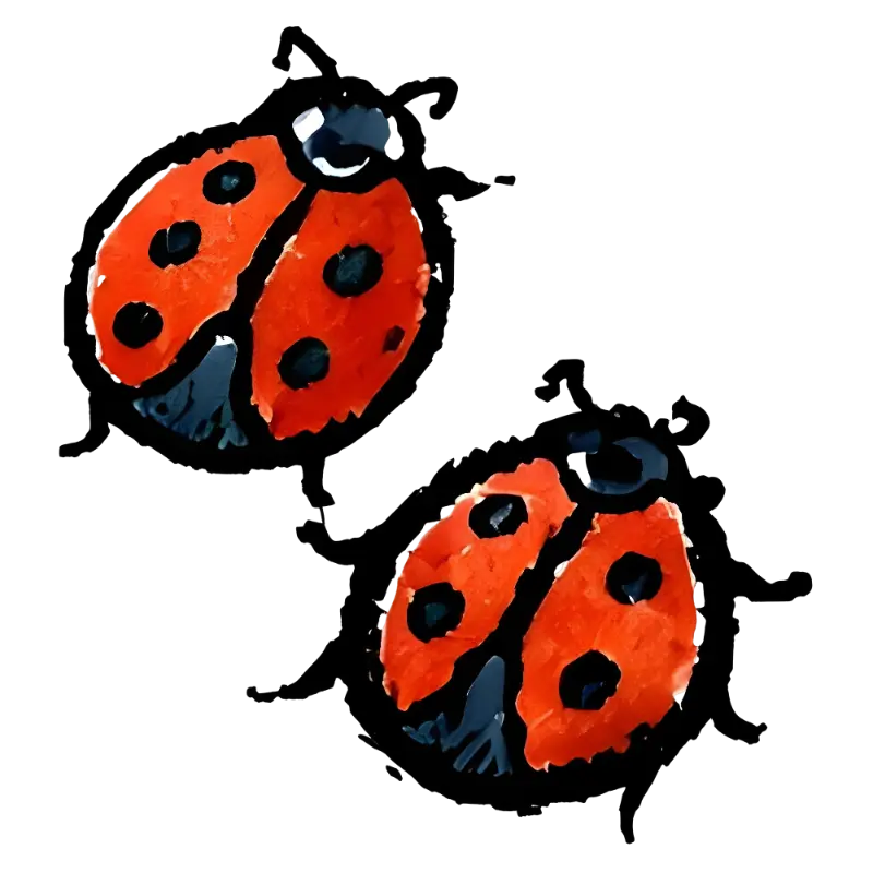 Watercolor Hand-drawn Textured Two Ladybugs Illustration for Kids