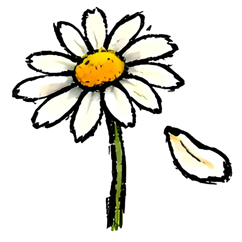 Hand-drawn Daisy Flower with Detached Petal, Playful Art