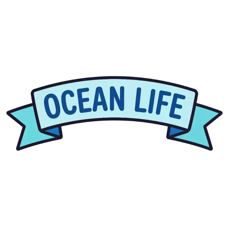 Bold Sans-Serif Ocean Life Text on Two-Tone Blue Curved Banner