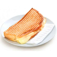 Tost Pendir