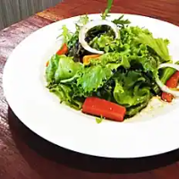 GARDEN SALAD