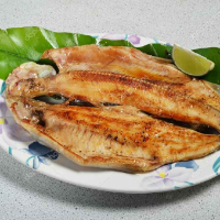 Farel balığı
