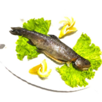 Forel Göl (1 ədəd)
