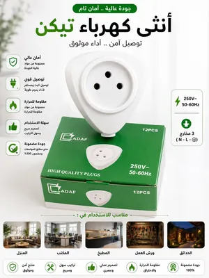 Vertical electric plug