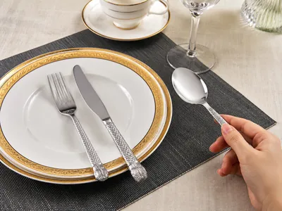 Stainless Steel Spoon Set