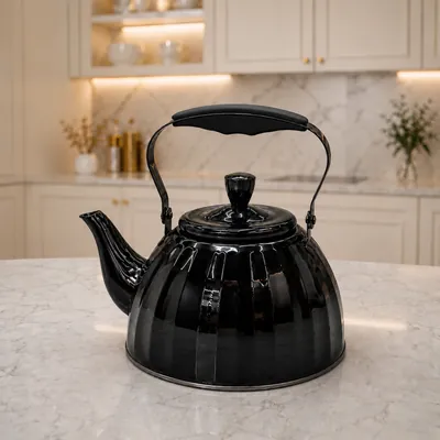 Black Stainless Steel Tea Kettle
