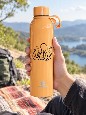 Stainless steel bottle