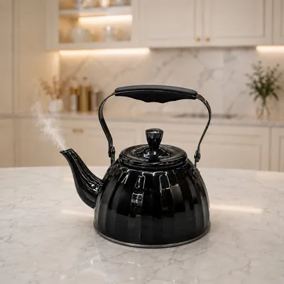 Black Stainless Steel Tea Kettle