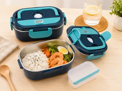 Electric lunch box