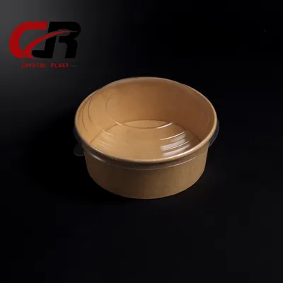 Disposable Kraft Bowl with Lid