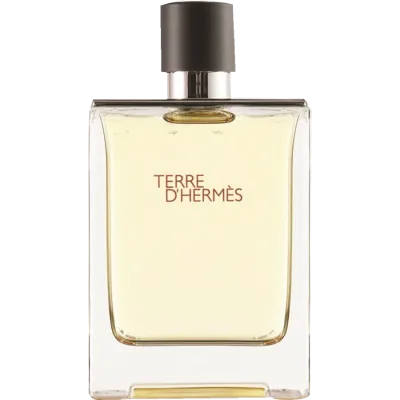 Terre D'Hermes EDT for Men 100 ml | HERMES