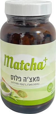 macha + Matcha Plus
