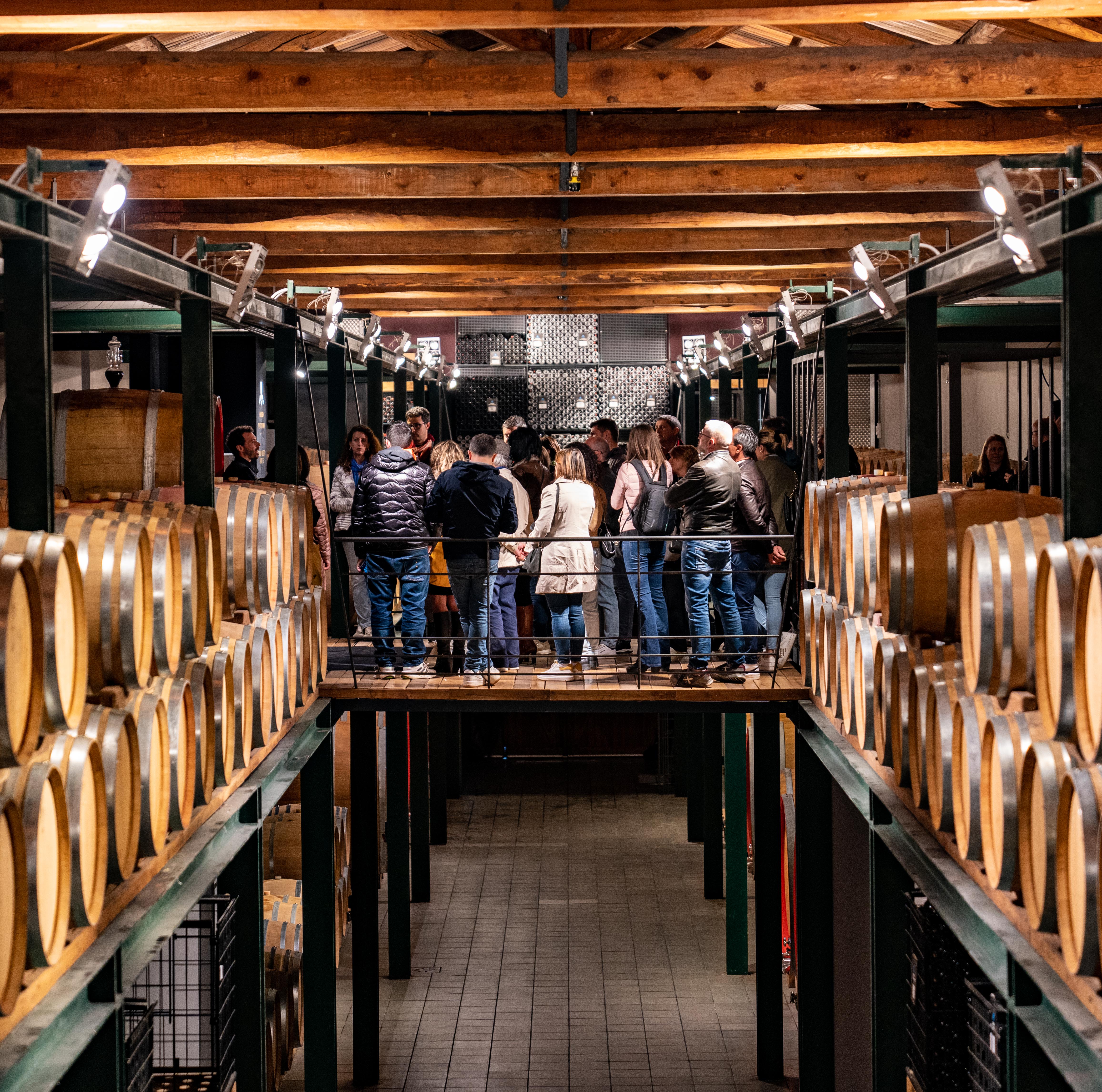 Vinum in Cantina. Il vino, la cantina e l’arte dell’aperitivo gourmet
