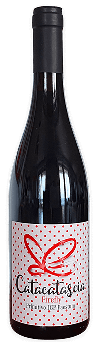 CATACATASCIA Primitivo IGP Paestum-BIO- ANFORA