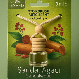 car air freshener