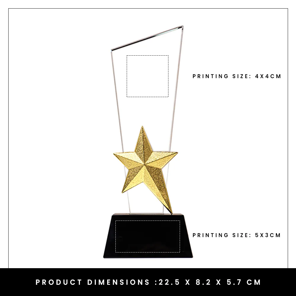 Crystal Trophy with Metal Star
