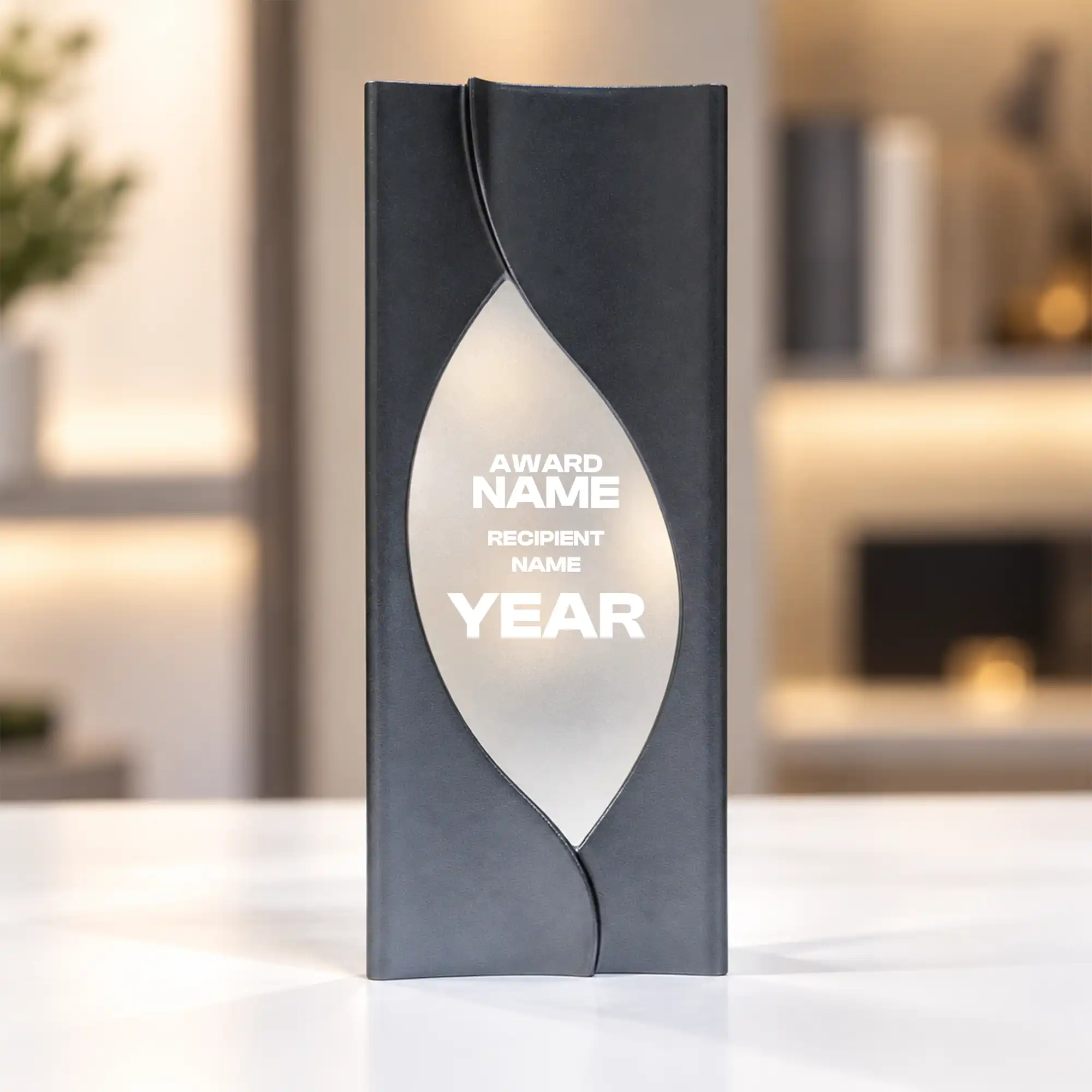 silver oval accent crystal award standing upright on a desk