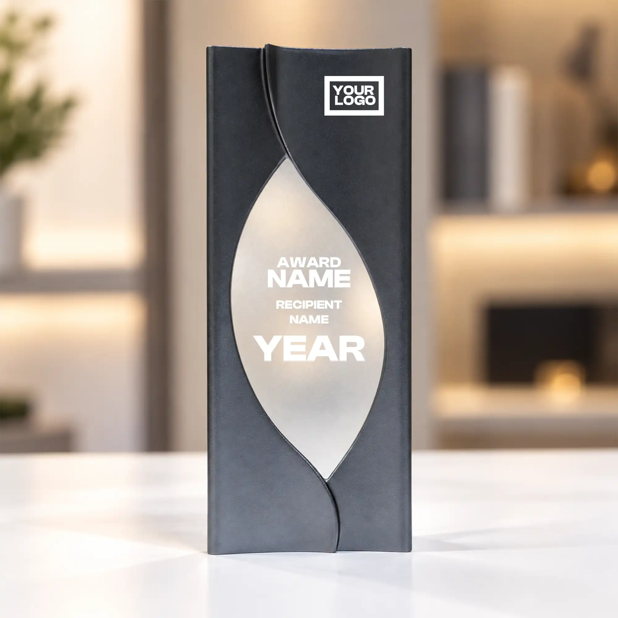 silver oval accent crystal award standing upright on a desk