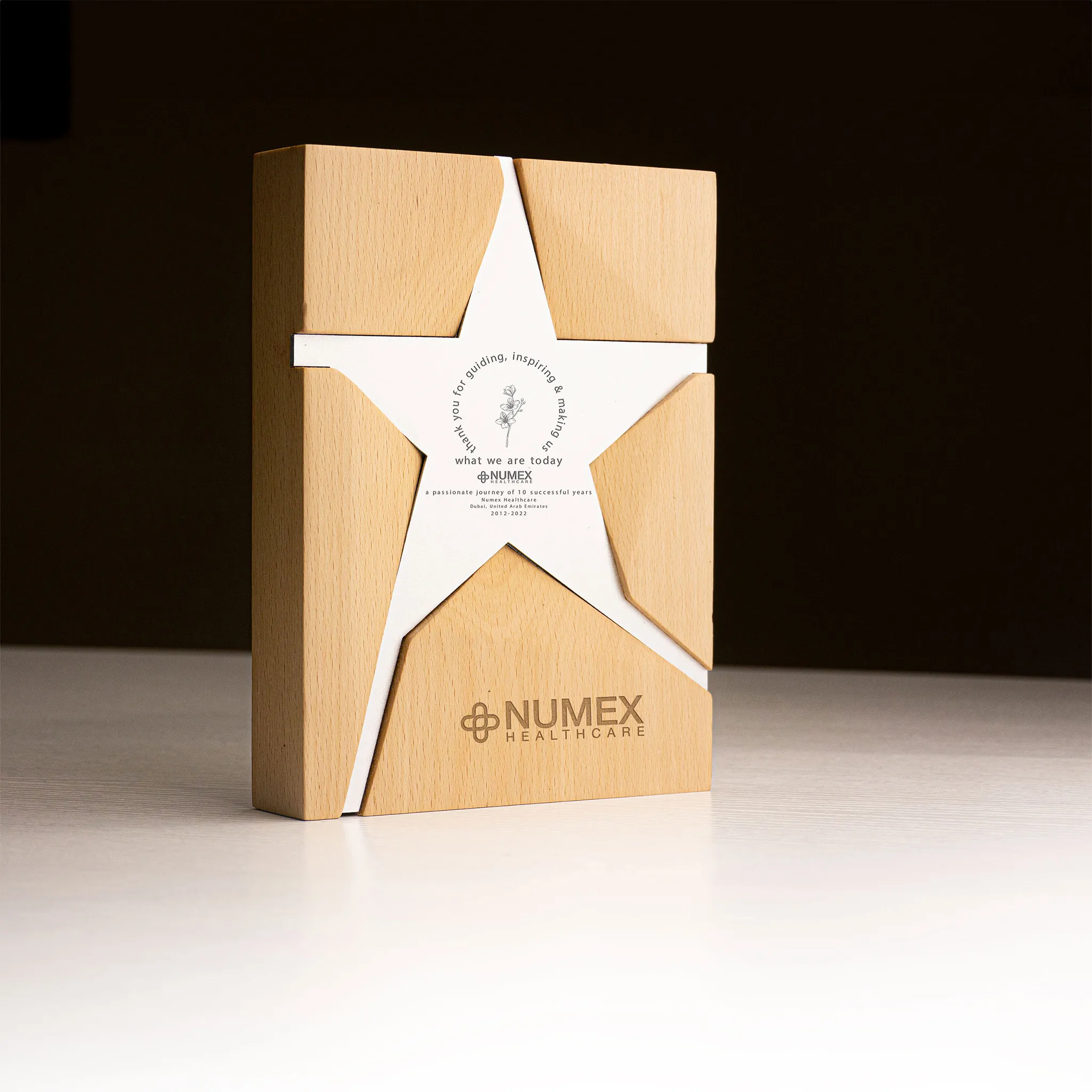 Wooden Trophy With Metal Star Silver