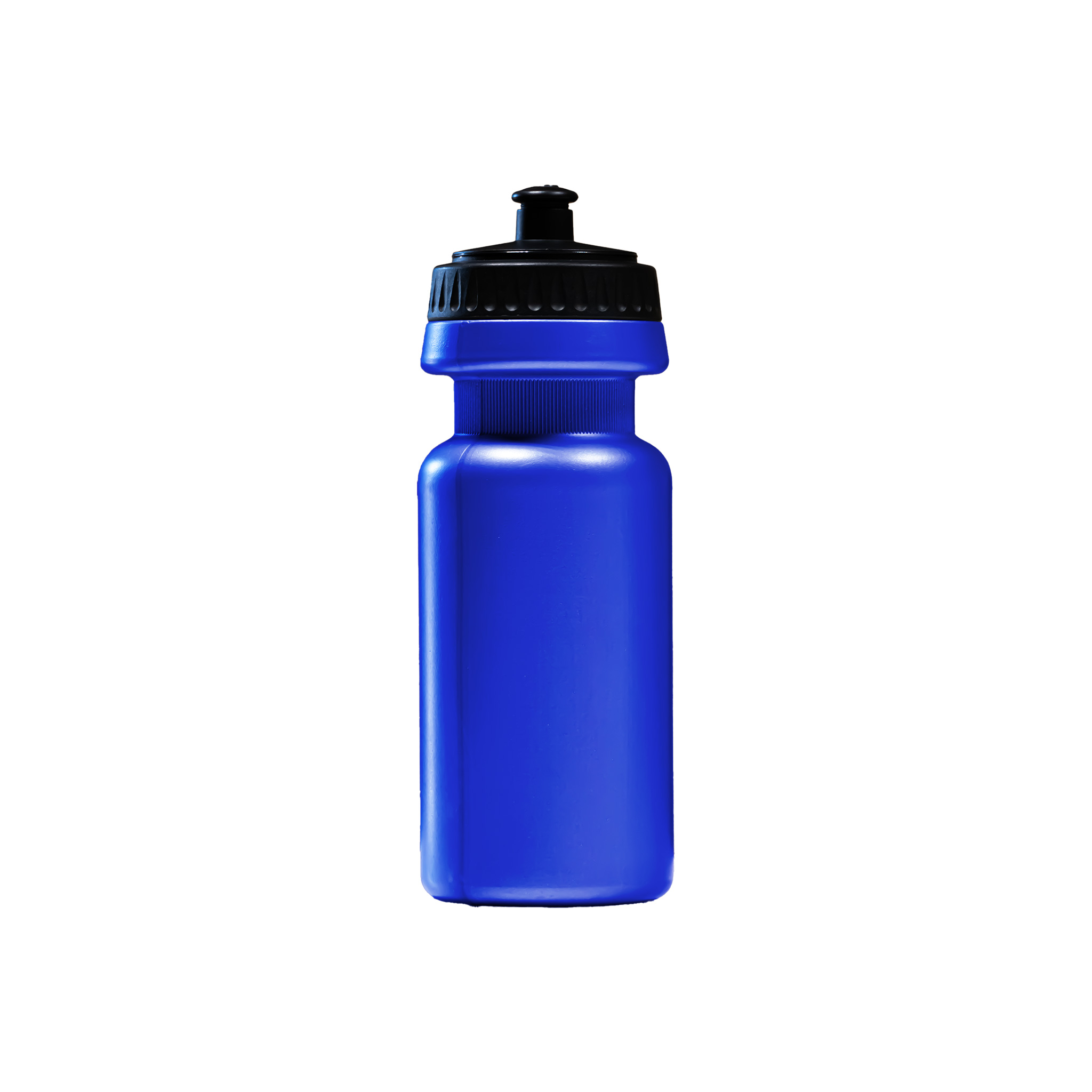 650ml Sports Bottle Blue