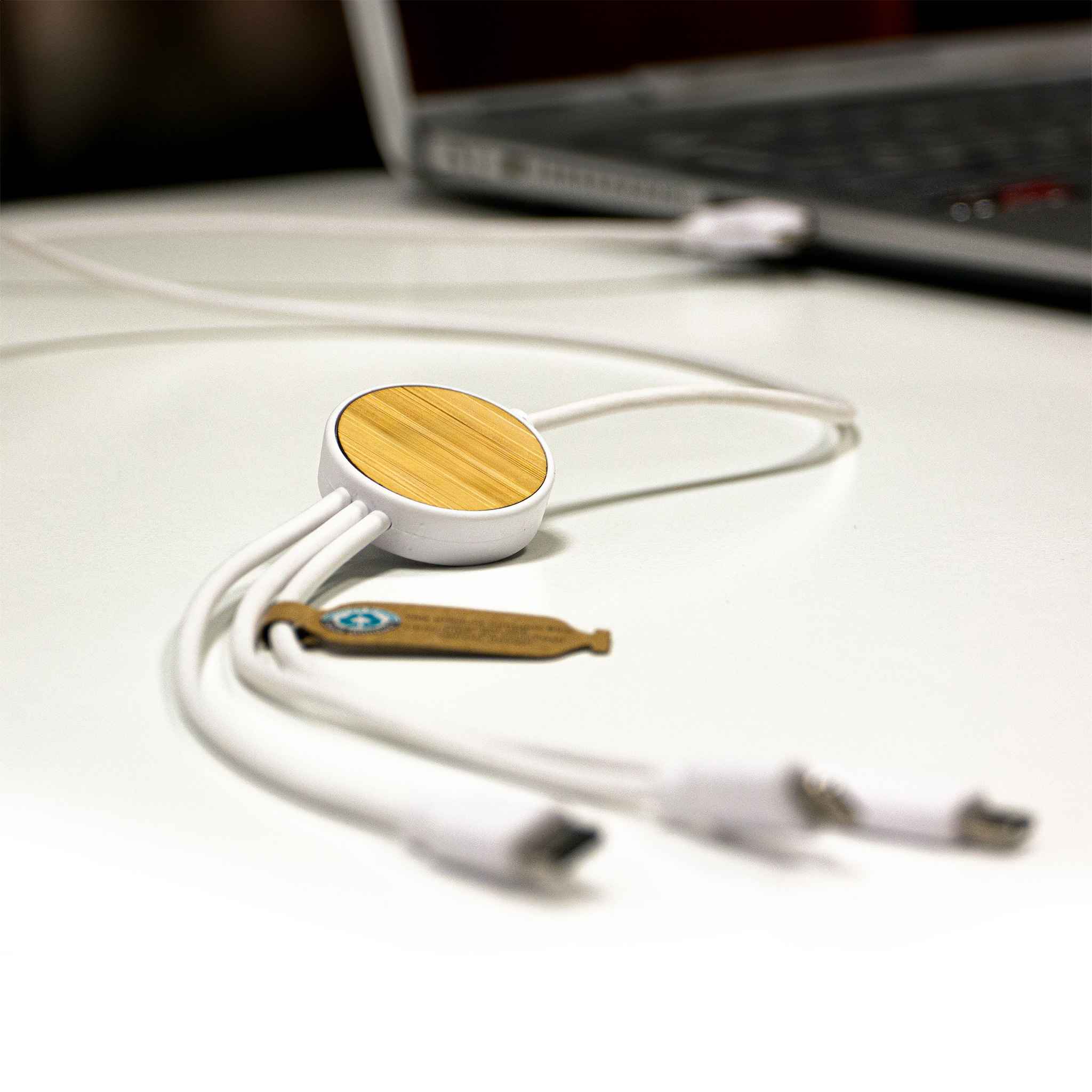 Bamboo and Recycled TPE Charging Cable