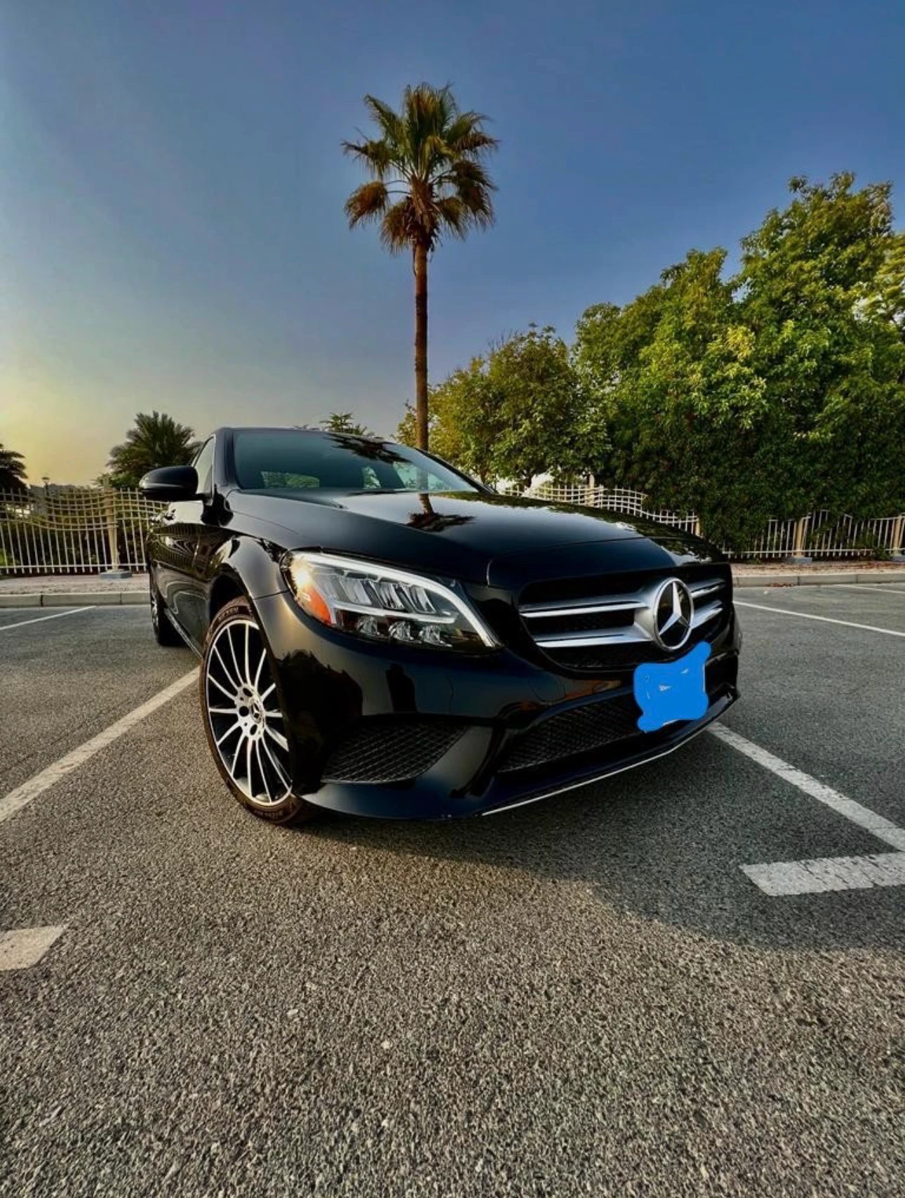 C 300