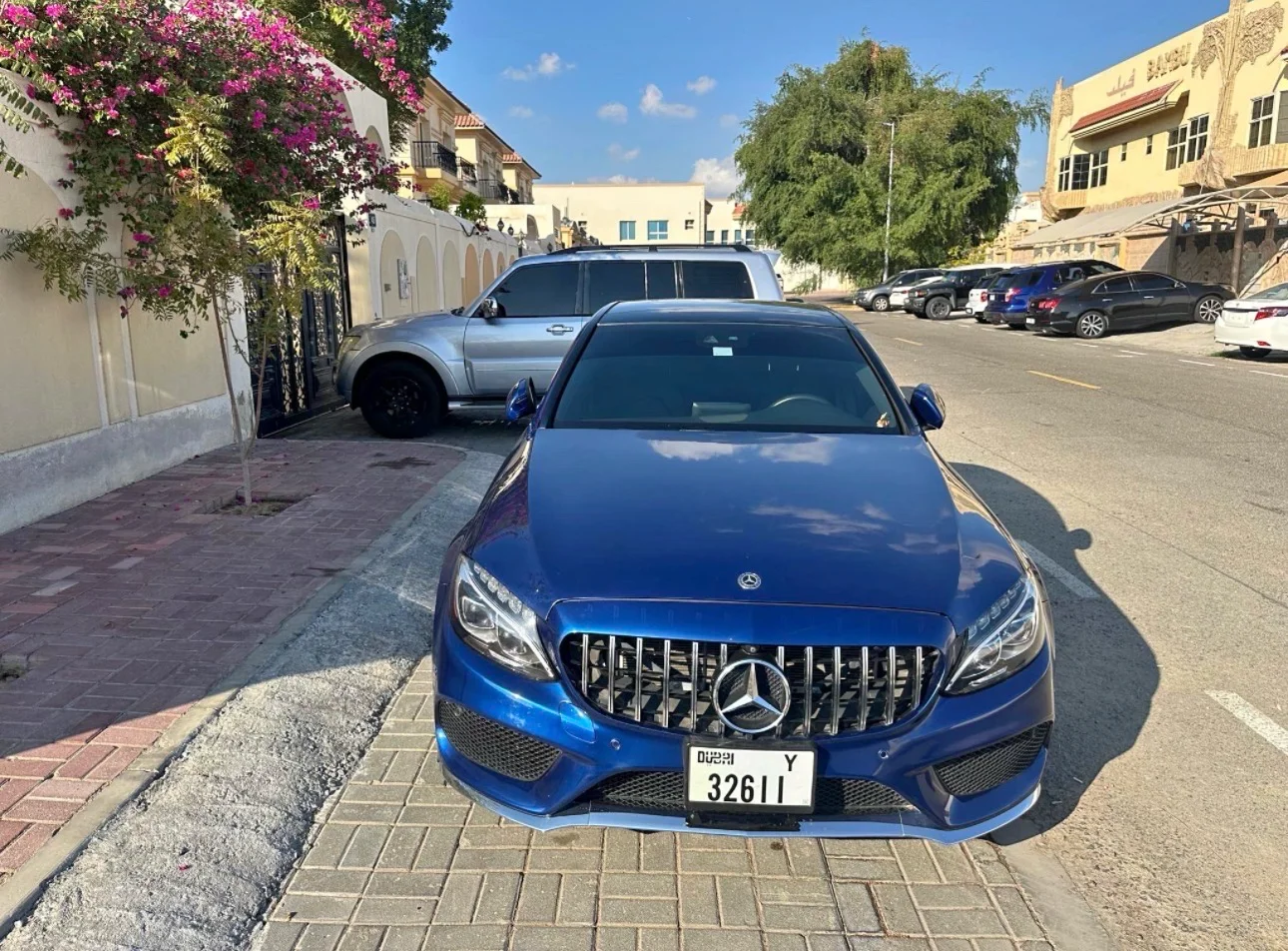 C 300