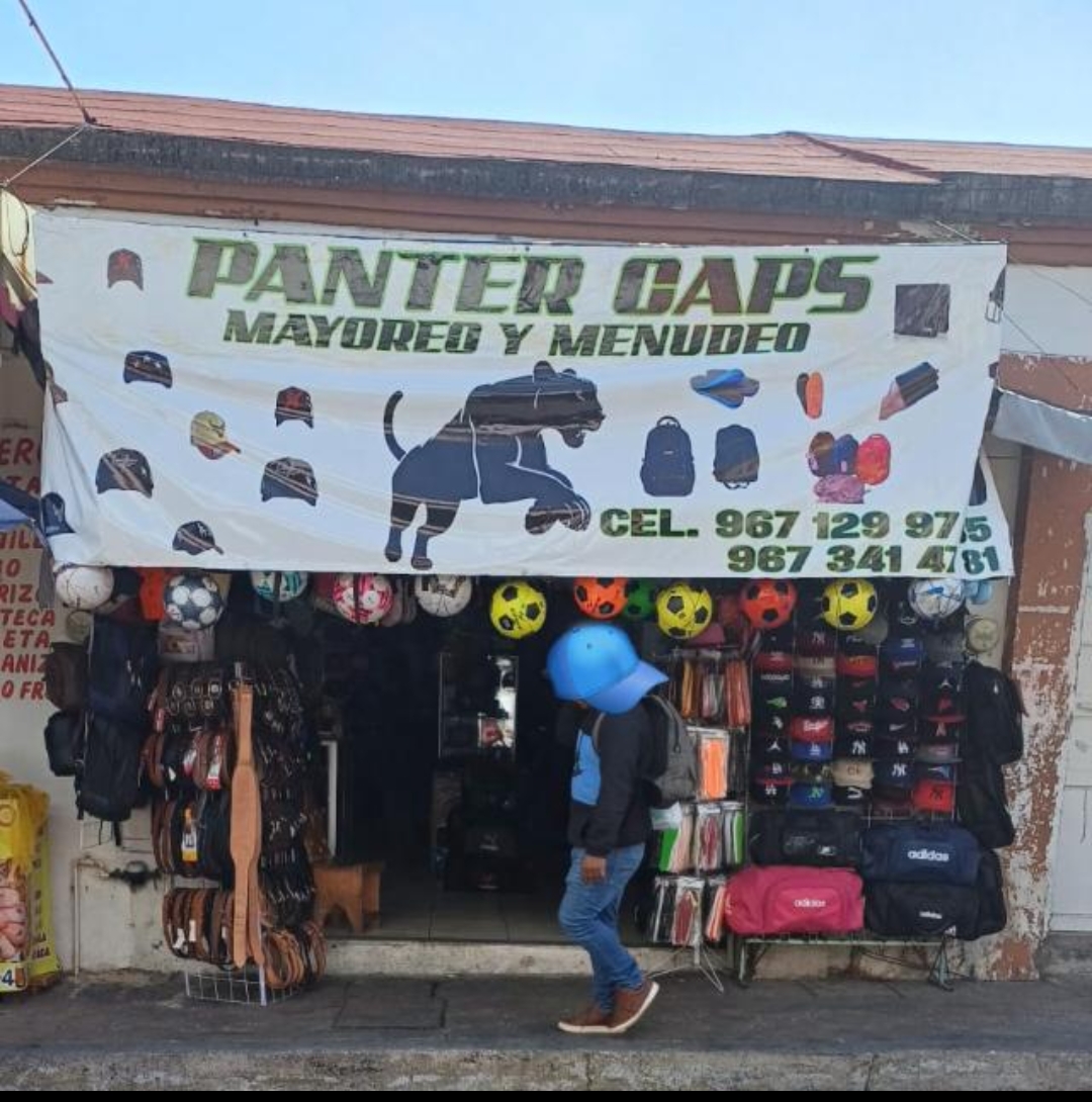 PANTHERS CAPS