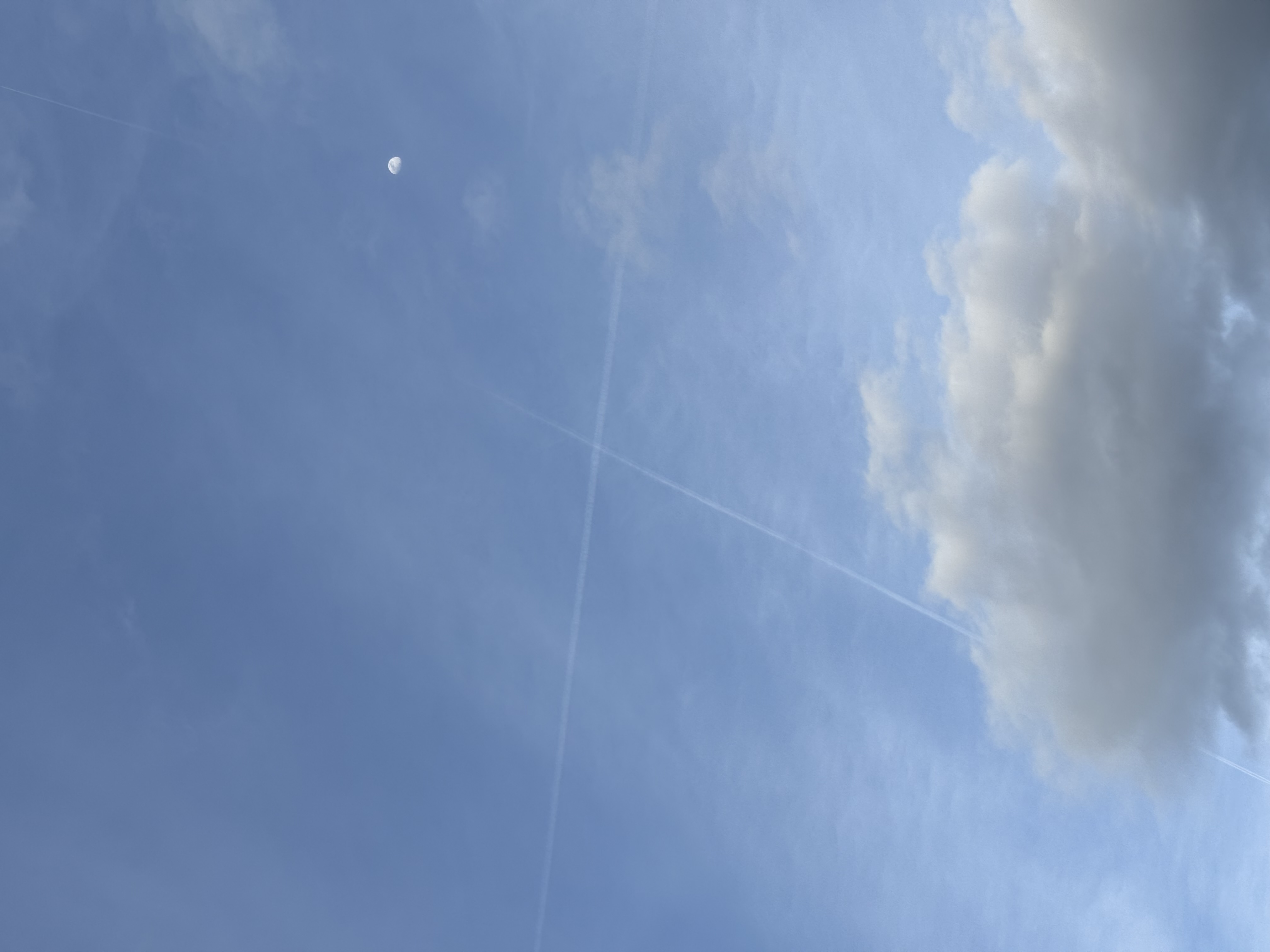 Sky 1