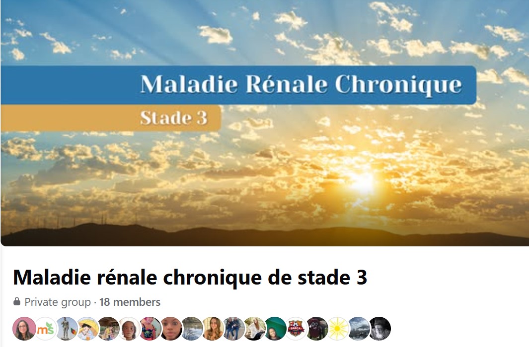 A collage of community members from the MetaSano Facebook group for French speakers.