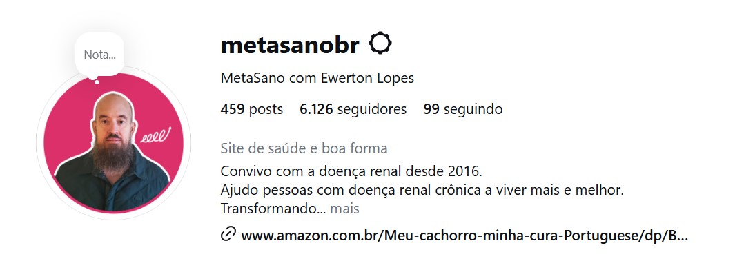 MetaSano Instagram community profile image for Brazil.