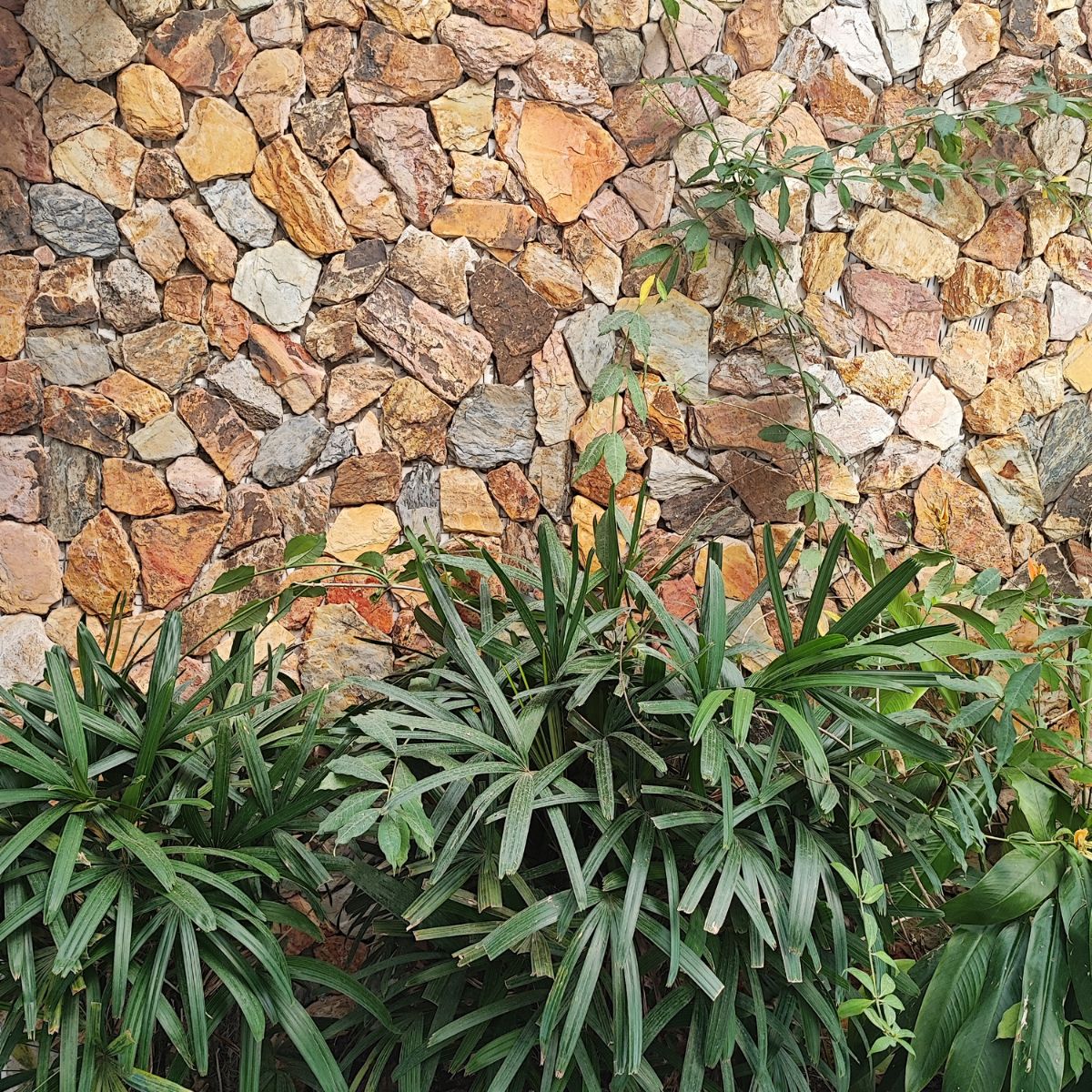 Piedra Laja San Andrés